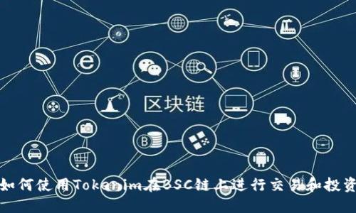 如何使用Tokenim在BSC链上进行交易和投资