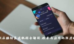 最新区块链真龙视频全解
