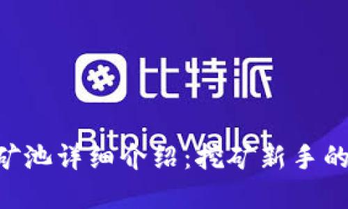 Tokenim矿池详细介绍：挖矿新手的最佳选择