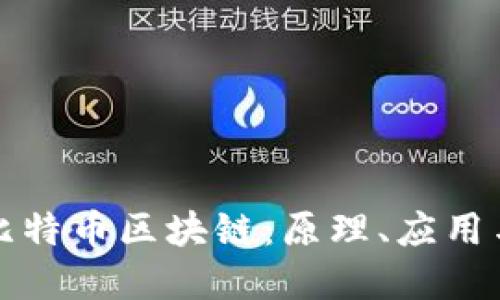 深入了解比特币区块链：原理、应用与未来发展