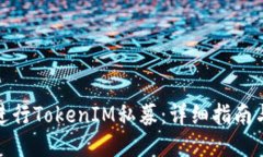 如何进行TokenIM私募：详细