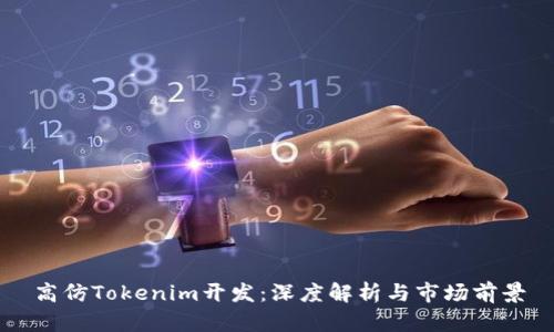 高仿Tokenim开发：深度解析与市场前景