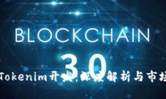 高仿Tokenim开发：深度解析