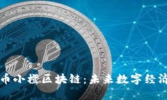 深入了解币小橙区块链：