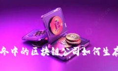币圈寒冬中的区块链公司