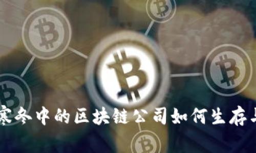 币圈寒冬中的区块链公司如何生存与发展
