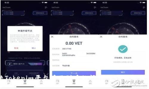 如何解决Tokenim平台看不到币的问题：全面解析和解决方案