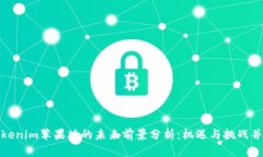Tokenim苹果版的未来前景分