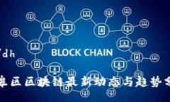 dh/dh如皋区区块链最新动态