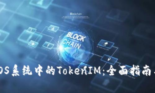 深度解析iOS系统中的TokenIM：全面指南与实用技巧