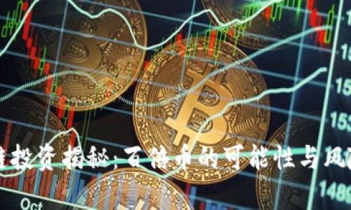 区块链投资揭秘：百倍币的可能性与风险分析