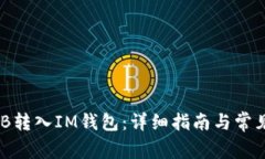 如何将BNB转入IM钱包：详细指南与常见