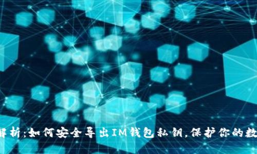  全面解析：如何安全导出IM钱包私钥，保护你的数字资产